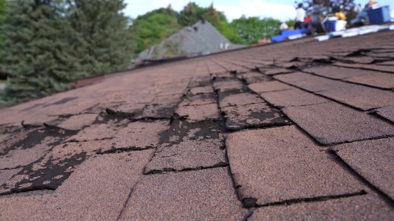 Best Rubber Roofing (EPDM, TPO)  in Choccolocco, AL