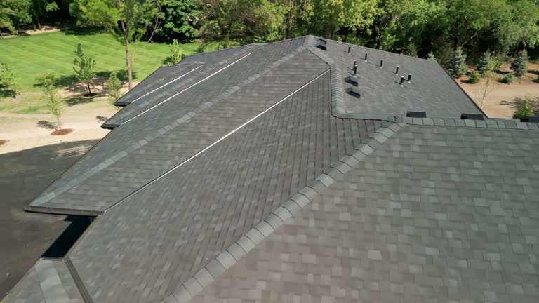 Best Solar Panel Roofing Installation  in Choccolocco, AL