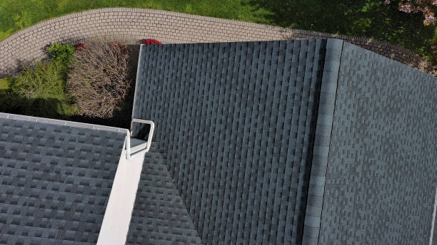 Best Roof Moss and Algae Removal  in Choccolocco, AL