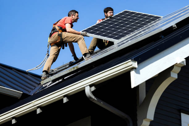 Best Roof Maintenance and Cleaning  in Choccolocco, AL